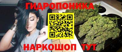 ALPHA PVP Моздок