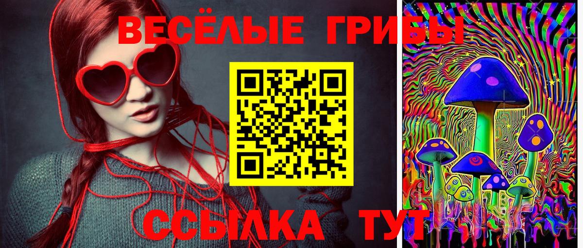что такое наркотик  Вход с VPN  Вольск  Псилоцибиновые грибы прущие грибы  Псилоцибиновые грибы Cubensis 