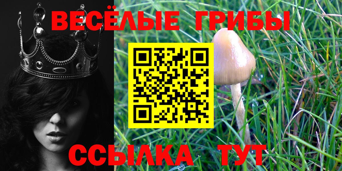 Галлюциногенные грибы GOLDEN TEACHER Вольск